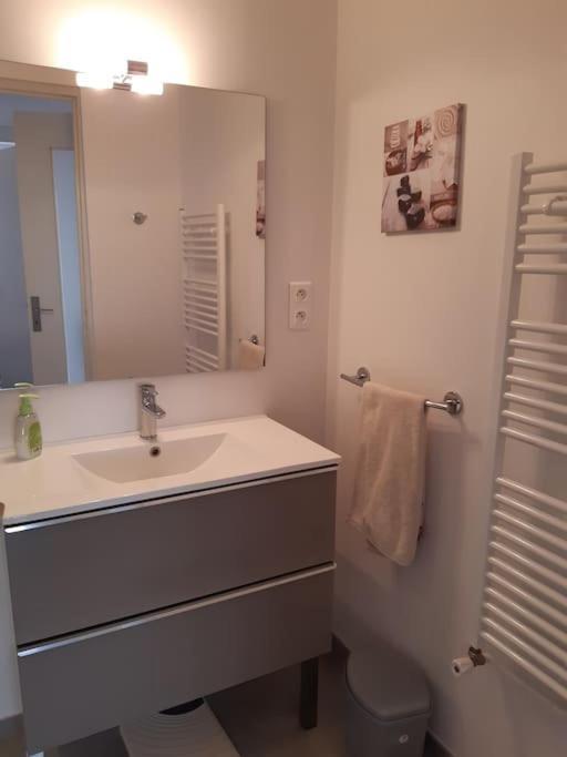 Logement Calme Et Authentique A Espelette Extérieur photo
